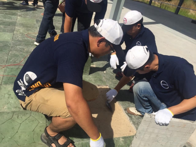 ปูอิฐตัวหนอน_๑๙๐๙๐๑_0076