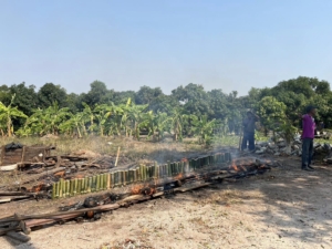 427908763_390925793533411_7887125658348714630_n