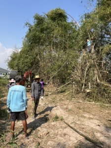 427893643_391754146783909_3782408328371988347_n