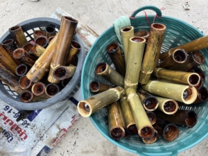 427898003_390925940200063_3322856296957999450_n