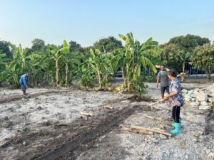 483509108_647642041195117_1356569669645243041_n