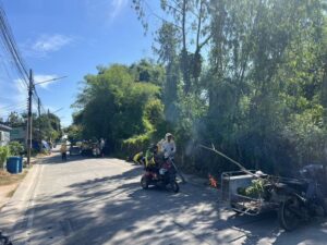 483523239_646128268013161_4802371751647351894_n