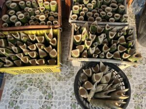 483524874_647642451195076_811215179820326378_n