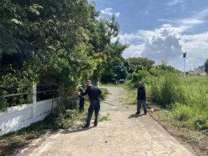 484025071_645448311414490_1453475001083002423_n