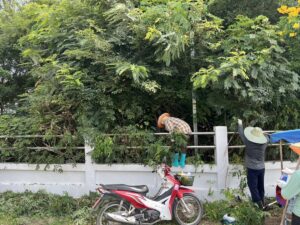 484440113_645448171414504_1709709760758581669_n